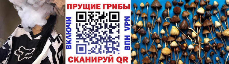 Галлюциногенные грибы Magic Shrooms  Коммунар 