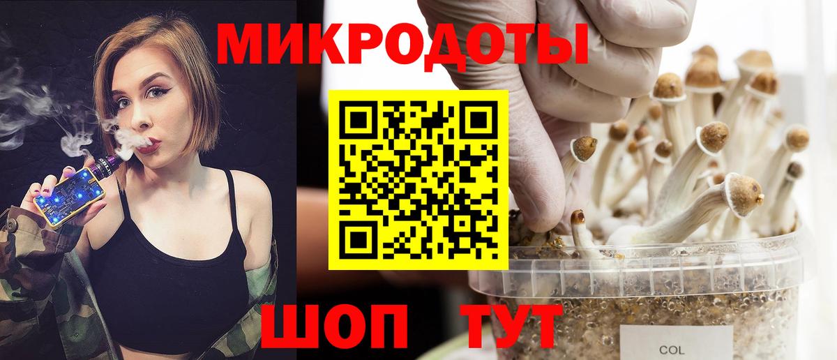 Коммунар  Псилоцибиновые грибы Psilocybe  Вход с VPN 