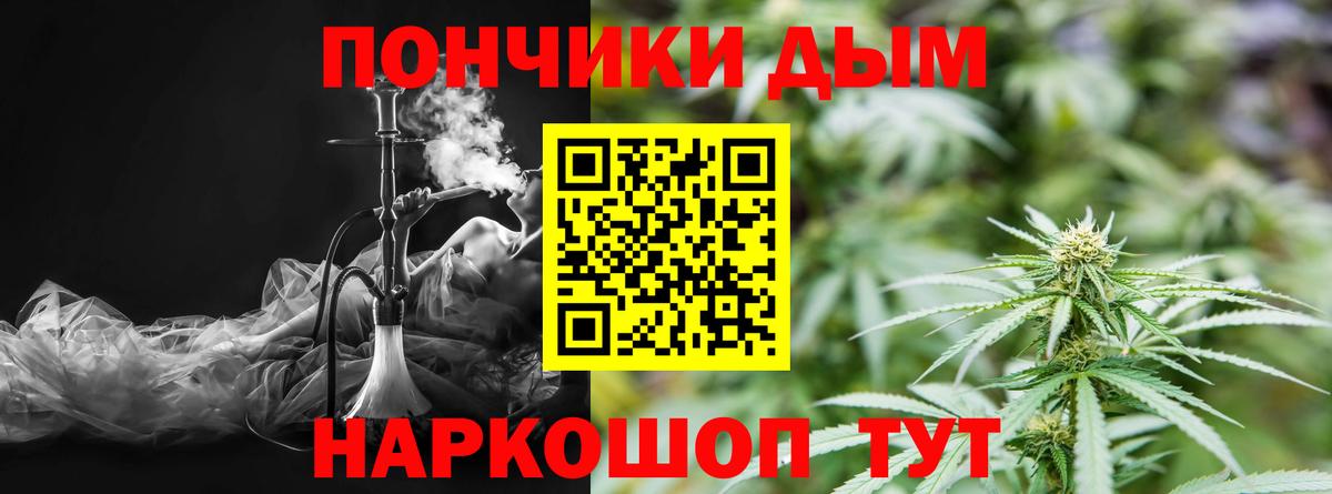 Бошки Шишки сатива Коммунар